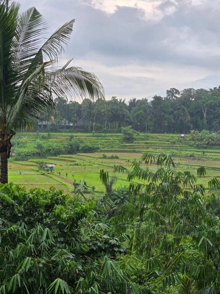 Bali 2025 15